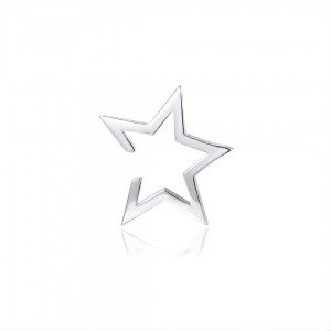 Nausznica srebrna - gwiazdka