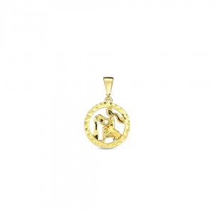 Zawieszka złota pr. 585 - wodnik (znak zodiaku)